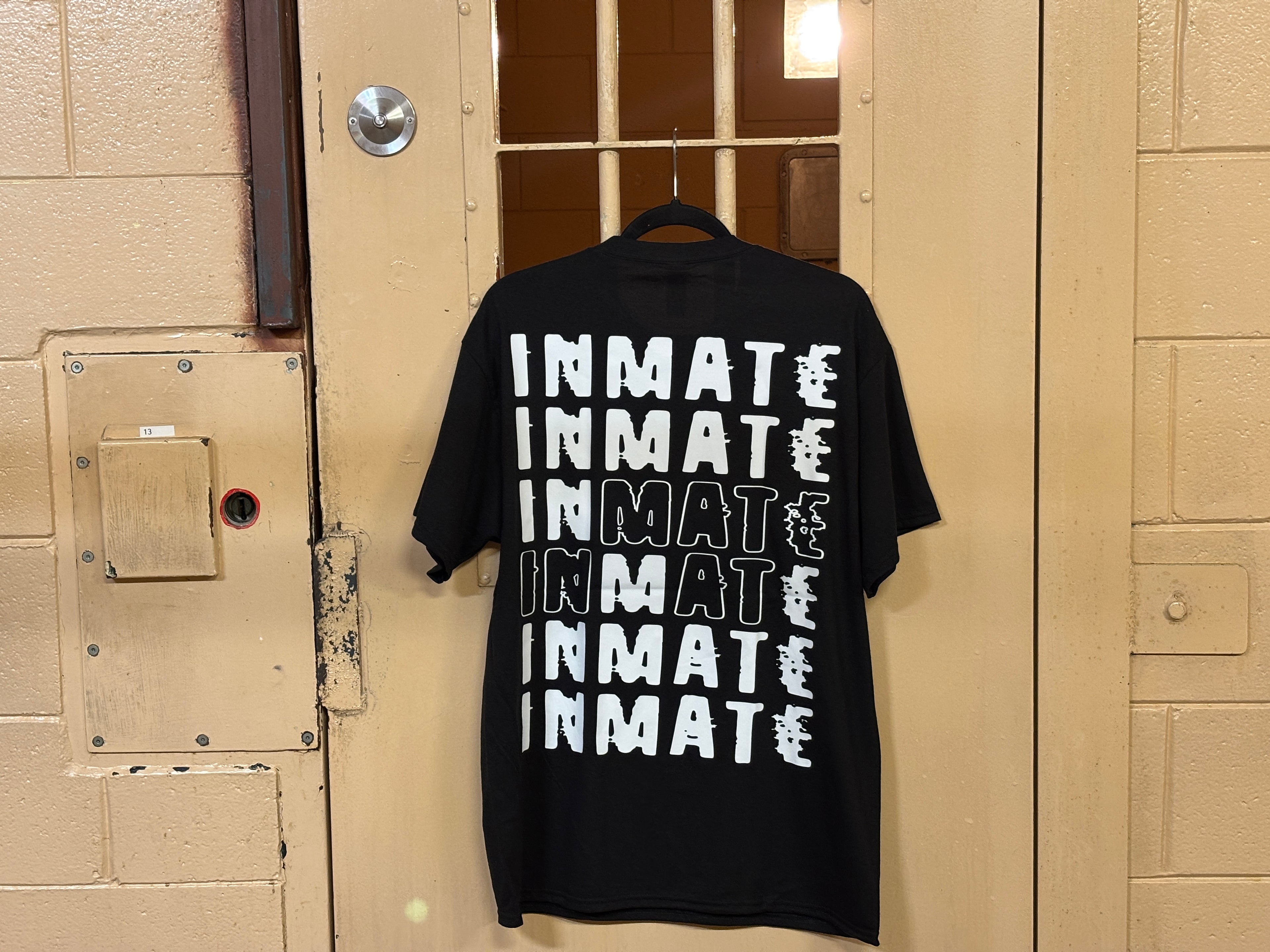 F22 INMATE Tee