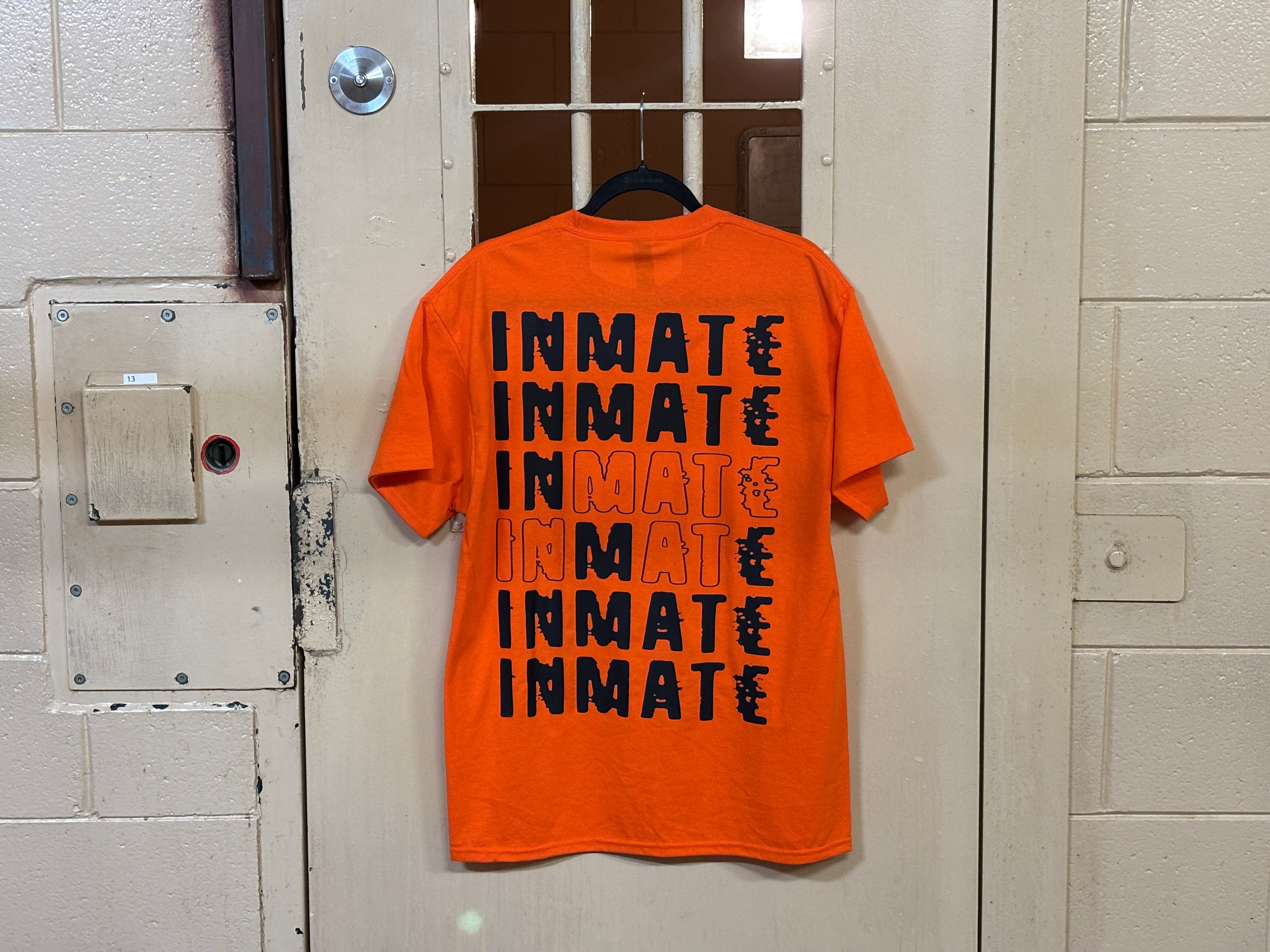 F22 INMATE Tee